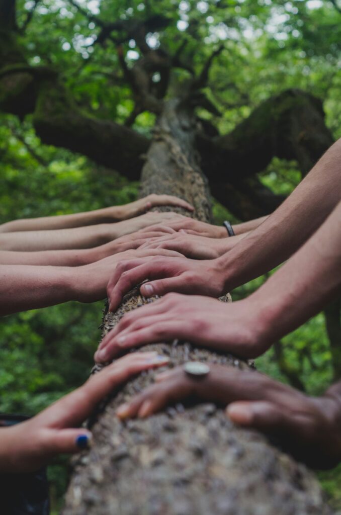 human hands over a tree trunk